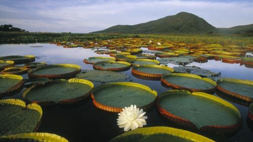 Амазонки интересные факты. Основное меню 08