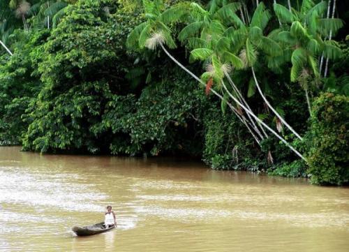 Интересные факты о амазонке. Что мы знаем о реке Амазонка 09
