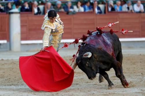 Север Испании достопримечательности. Север Испании