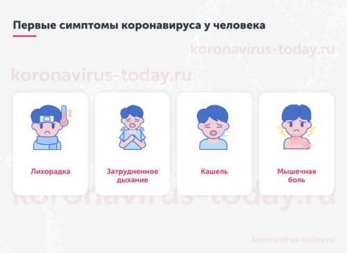 Как защититься от короновируса рассказали в Роспотребнадзоре. В Роспотребнадзоре рассказали, как защититься от коронавируса 01