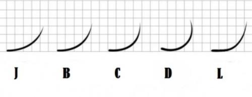 У кого из этих животных самые длинные ресницы. Хлопай ресницами: 15 невероятных фотографий, на которых запечатлены ресницы разных животных 18