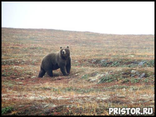 Как спастись от китайского коронавируса. Как Китай справился с коронавирусом? 12