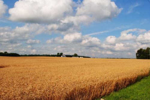 История названия планет. Юпитер, Сатурн, Уран, Нептун, Плутон 03