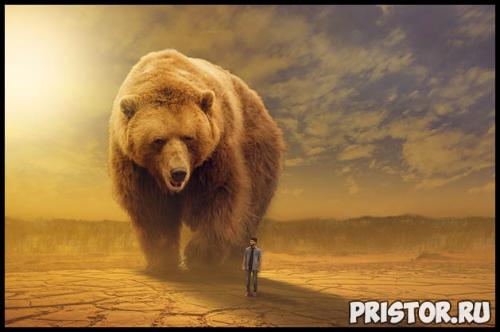 Как спастись от китайского коронавируса. Как Китай справился с коронавирусом? 11