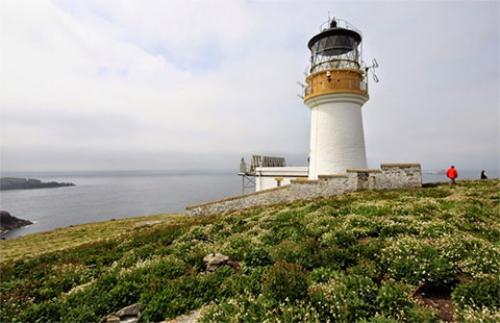 Таинственные исчезновения людей википедия. Исчезновения с 1880 по 1930 годы