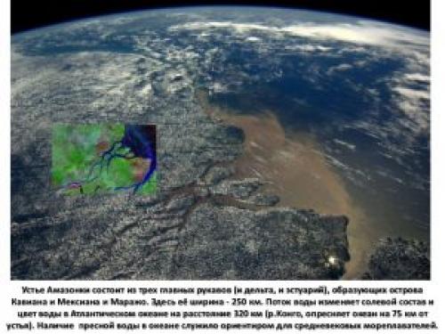 Бассейн амазонки на карте. Географическое описание