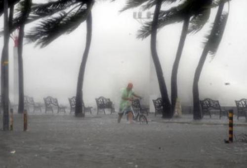 Как спастись от тайфуна. Как пережить тропический циклон, тайфун, ураган