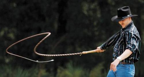 Интересные факты о мире вокруг нас. 39 фактов о мире вокруг, которые заставят открыть рот даже самых умных из нас