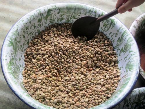 Животное которое ест кофейные зерна. Кто такой зверек лювак