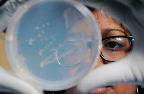 Новые виды животных 2020. 