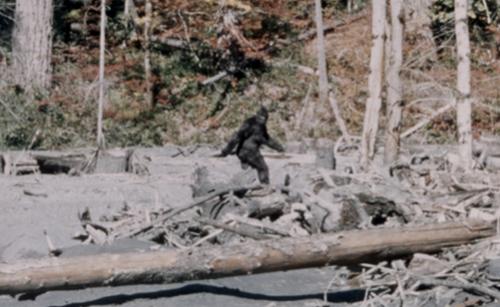 Страшные загадки мира. Великие мистические загадки, разрешить которые не могут до сих пор (13 фото)