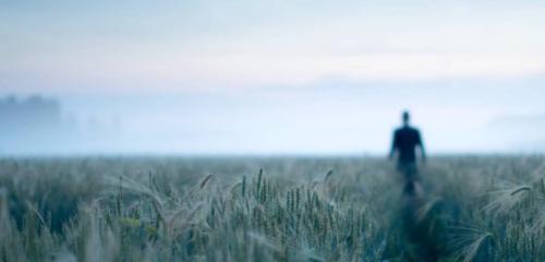 Библия интересные вопросы. Библейские вопросы и ответы