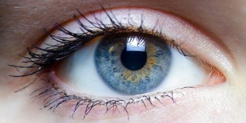 Самые интересные факты о человеке. 10 интересных фактов про человека и человечество в целом