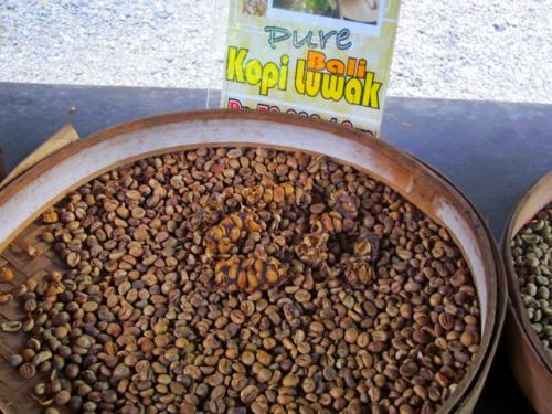 Животное которое ест кофейные зерна. Кто такой зверек лювак