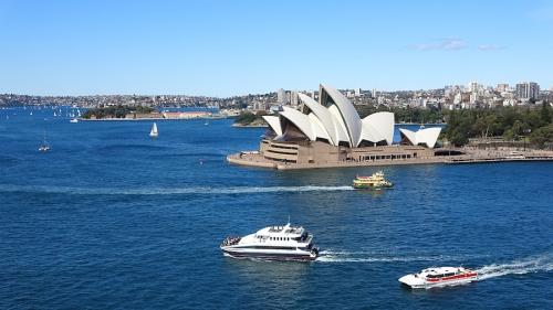 Животные Австралии для детей. Необычные животные Австралии, которые обитают только там