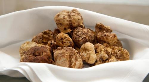 Самые дорогие деликатесы в мире. 10 самых дорогих в мире блюд 06