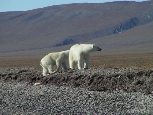 Географические объекты земли. Географический объект 12