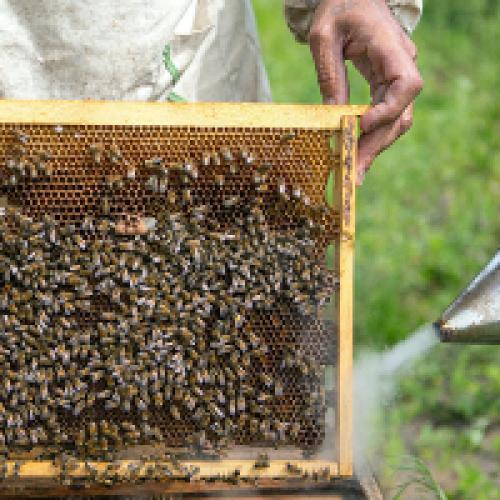 Интересные новости в мире сельского хозяйства. Новости сельского хозяйства - полезные статьи