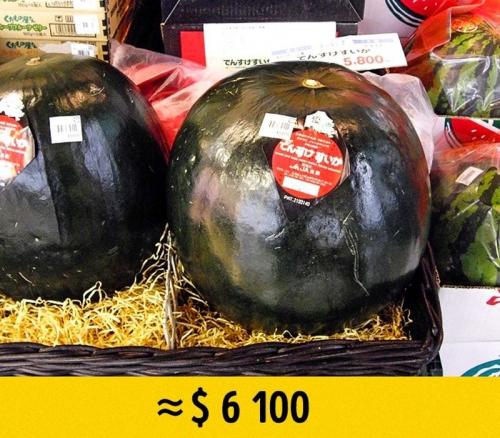 Самый дорогой фрукт в мире. Самые редкие и дорогие фрукты в мире