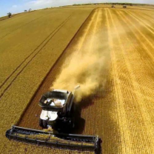 Интересные новости в мире сельского хозяйства. Новости сельского хозяйства - полезные статьи