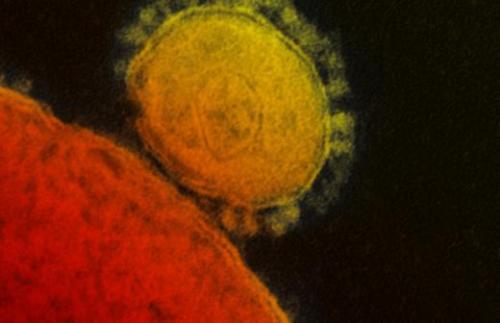 COVID-19 в России. 04