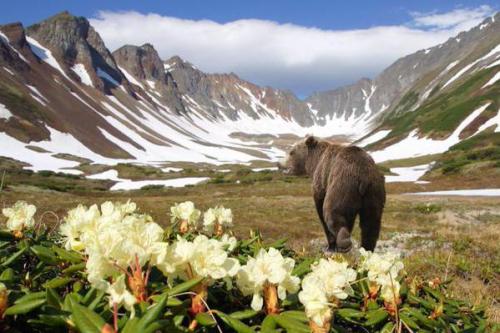 Самые высокие горы в Европе. Какая самая высокая гора в Европе 09