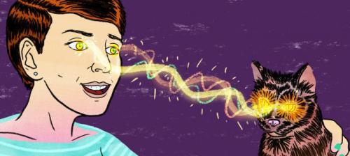 Опасные для человека вирусы от кошек. Токсоплазмоз.