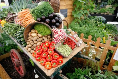 Интересные факты о сельском хозяйстве. Интересности: 20 фактов о фермерстве и земледелии 12