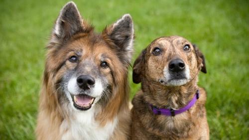 Интересные исследования ученых о человеке. Необычные исследования британских ученых