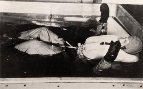 Интересные факты, которые удивят и шокируют вас