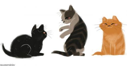 Опасные для человека вирусы от кошек. Токсоплазмоз.