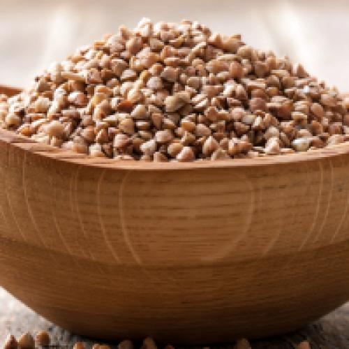 Интересные новости в мире сельского хозяйства. Новости сельского хозяйства - полезные статьи