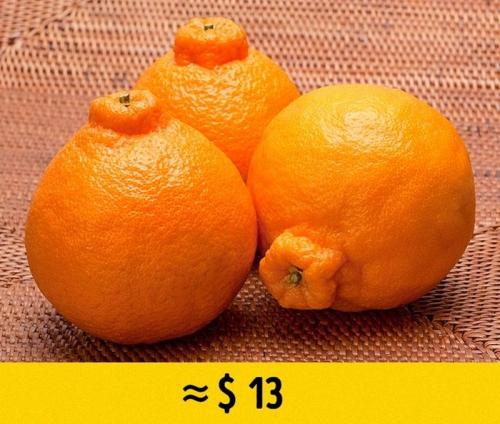 Самый дорогой фрукт в мире. Самые редкие и дорогие фрукты в мире