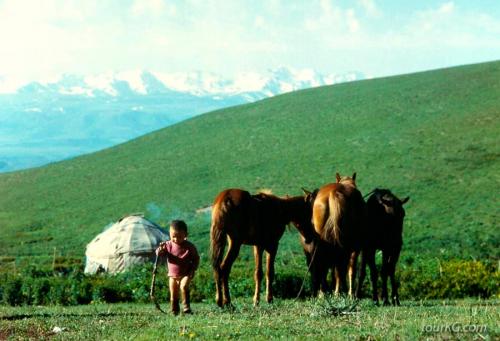 Интересные традиции киргизов. Обычаи и традиции Кыргызстана 17