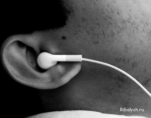 Интересные факты о носе человека. Самые интересные факты про нос человека 07