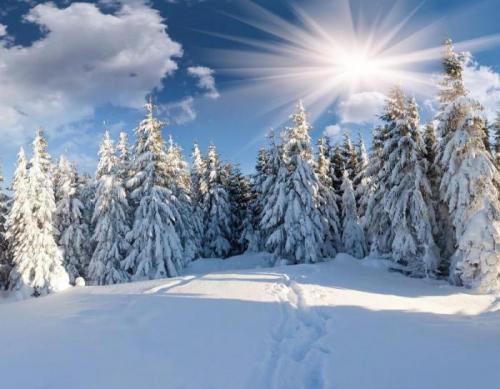 Страшные истории загадки. загадка — жуткие, мистические и страшные истории 06