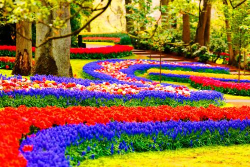 Самый большой в мире лес. Самый большой лес в мире 07