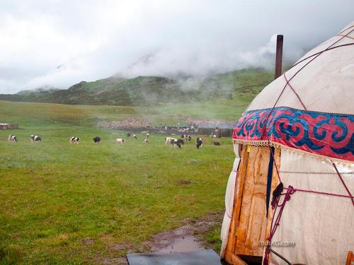 Интересные традиции киргизов. Обычаи и традиции Кыргызстана 18