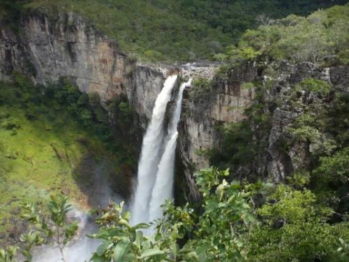 Самый большой лес на планете. Самые большие лесные массивы нашей планеты 02