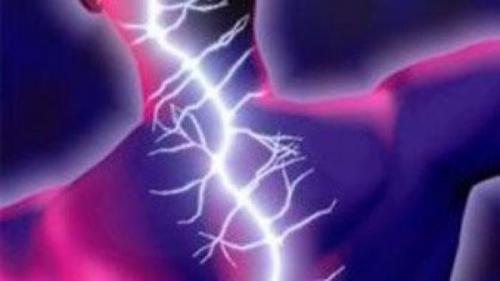 Удивительные факты обо всем. Интересные факты обо всем на свете