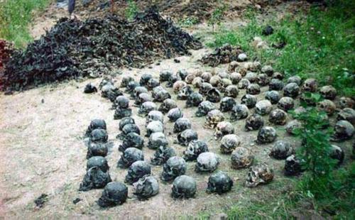 Самый страшный лес в России. Самые жуткие места России