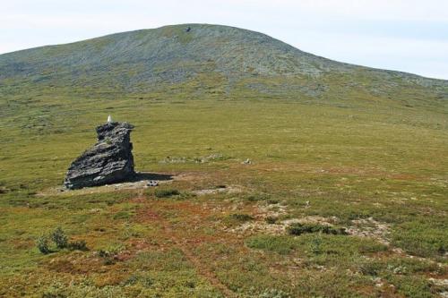 Самый страшный лес в России. Самые жуткие места России