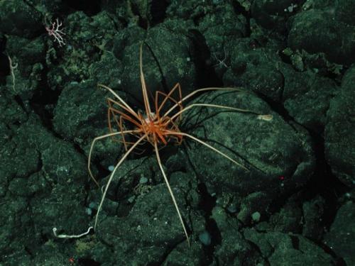 10 самых опасных пляжей мира (10 фото) 12 10 самых опасных пляжей мира (10 фото) 12