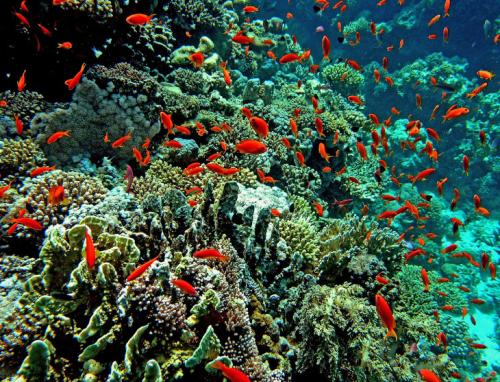 Географические объекты мира. Семь «цветных» географических объектов