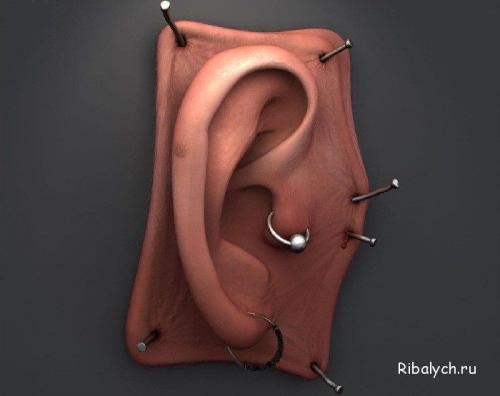 Интересные факты о носе человека. Самые интересные факты про нос человека 06