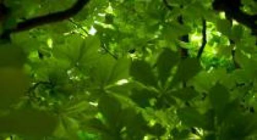 Страшные истории загадки. загадка — жуткие, мистические и страшные истории