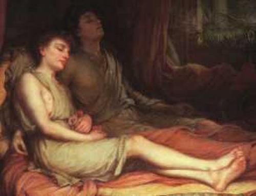 Животные притворяются мертвыми. Могут ли животные притворяться? 01