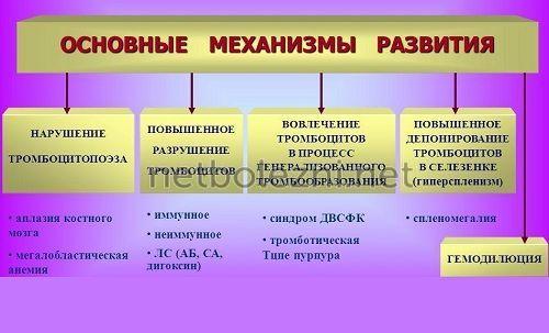 Понижены тромбоциты в крови. Общие сведения 03