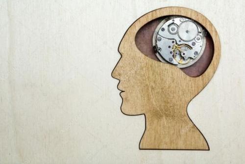 500 интересных фактов. Подборка интересных фактов обо всем на свете (15 фото)