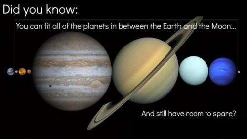 500 интересных фактов. Подборка интересных фактов обо всем на свете (15 фото)